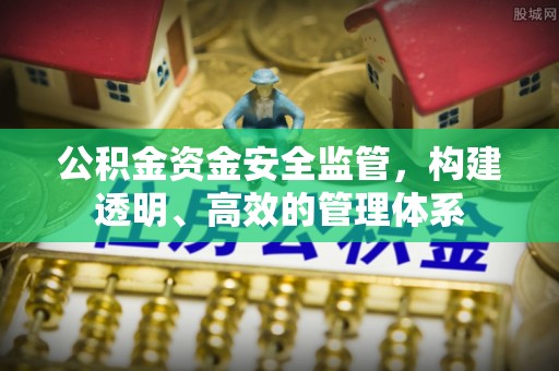 安徽公积金资金安全监管，构建透明、高效的管理体系